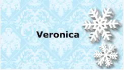 Snowflake Place Card